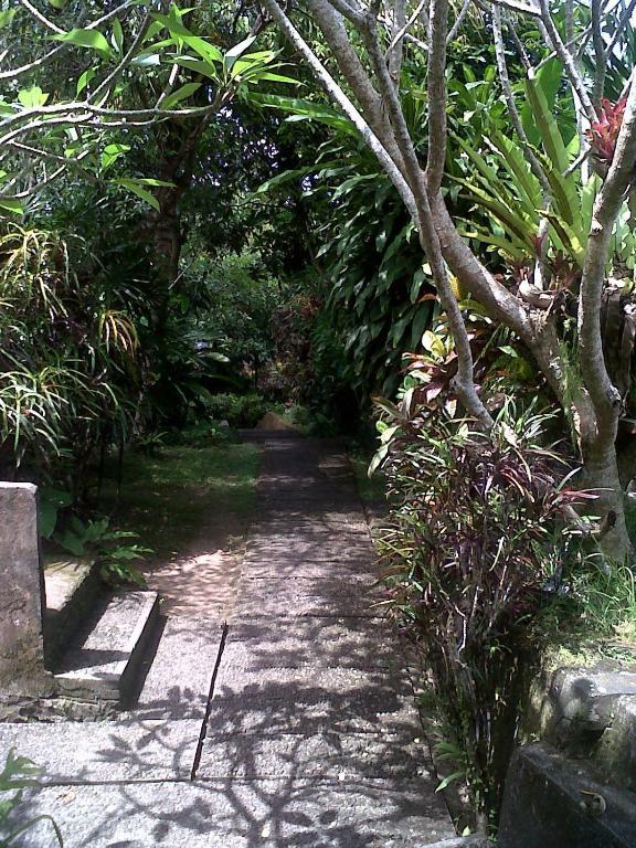 Arjana Bungalows 2 Ubud  Bagian luar foto